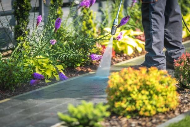  Graysville, AL Pressure Washing Pros